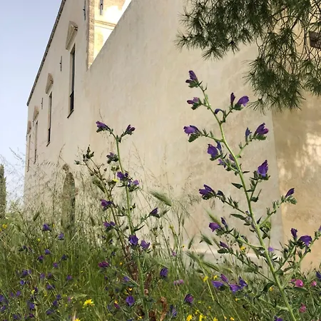 ホームステイ Masseria Mondonuovo *
